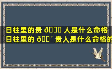 日柱里的贵 🐒 人是什么命格（日柱里的 🐴 贵人是什么命格的人）